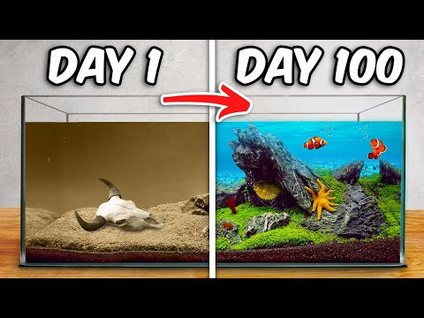 Simulating a Sea for 100 Days