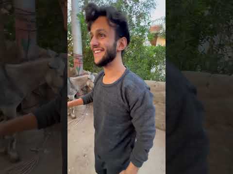 نسبة الذكاء عندنا في العيله 😂 #باربي_الشرقية