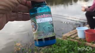 OS PESCADORE ESTÃO LOUCOS.POR ESTA.ESSENCIA