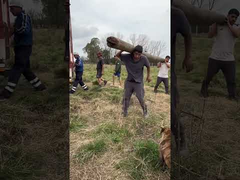 ¡Construimos un refugio para perritos que nosotros los humanos tratamos mal! 🥺