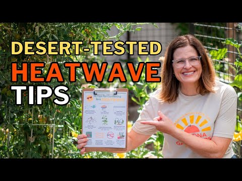 HEATWAVE GARDEN SURVIVAL: What TO DO & What NOT TO DO