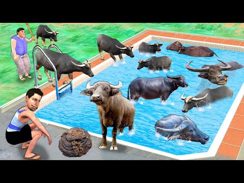 भैंस स्नान स्विमिंग पूल Buffalo Bathing Swimming Pool Hindi Kahaniya Hindi Moral Stories Funny Video