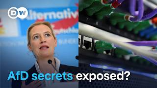 Massive AfD email hack: What is actually verified? | DW News