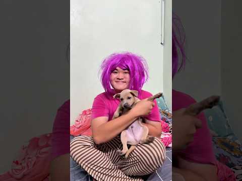 Mua Cún Cảnh Trên Mạng #shorts