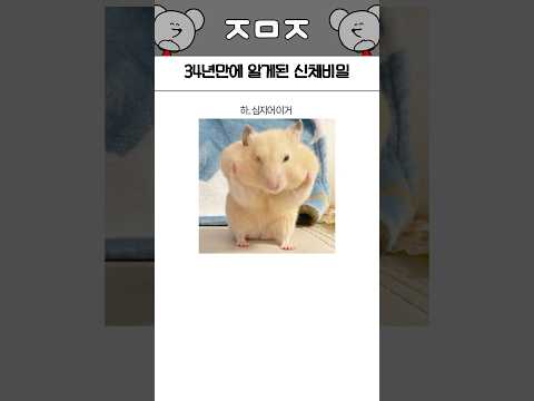 귀엽고 웃픈 상황들 293탄ㅋㅋㅋㅋㅋㅋㅋㅋㅋㅋㅋ