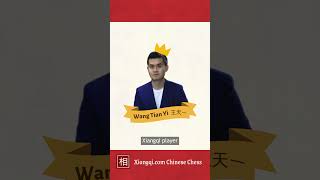 Famous Xiangqi Player: Wang Tian Yi