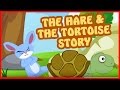 Lessons from the Tortoise and Hare