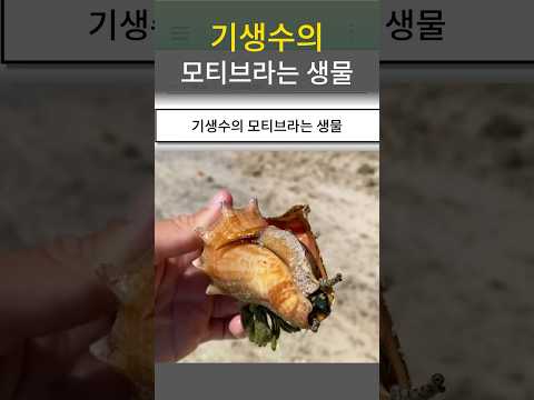 기생수의 모티브라는 생물