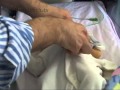 Newborn Reflexes and Development