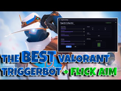 The Best Valorant Color TriggerBot (Flick Aim Options)