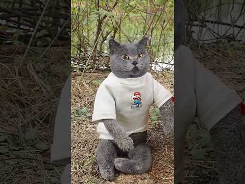 Wow! How To Cleverly Use Watermelon To Catch Fish?🍉🐟 #catvideos #catmemes #trending