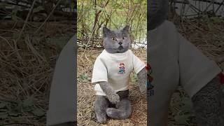 Wow! How To Cleverly Use Watermelon To Catch Fish?🍉🐟 #catvideos #catmemes #trending