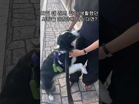 2년만에 다시 만난 사람을 볼 때 반응은?