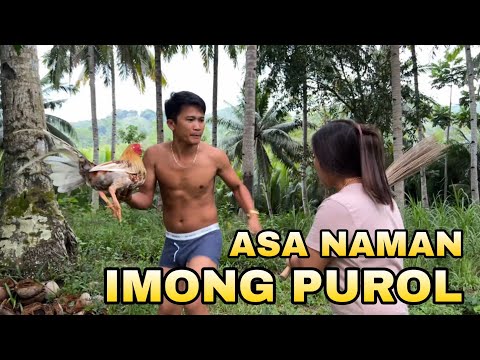 SUGAROL NGA BANA 🤣 6