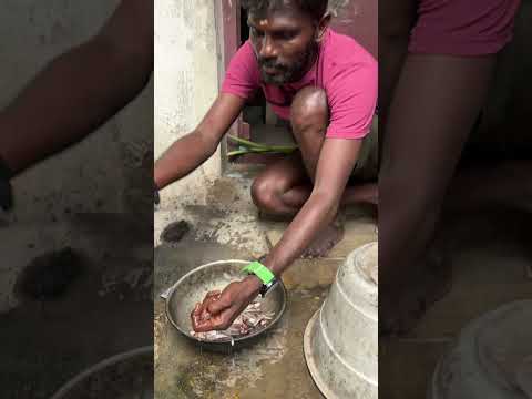 மீனு 🐟வாங்கியாச்சி கரு நெத்திலி 50 ரூபாய்✌️முருங்கைக்காய் 10ரூபாய்✌️முட்டை 🤩 #kanyakumari #food