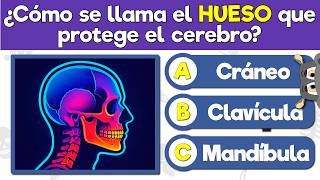 100 Preguntas sobre el Sistema Óseo 🦴 | Trivia de Biología