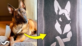 Turning a Picture of My Dog into a Damascus Pattern