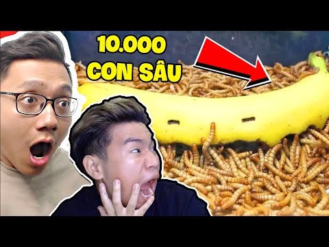 Mình Và @SonDuReacts  Khiếp Sợ Với 10000 Con Sâu Hủy Hoại Đồ Ăn