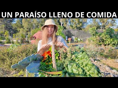 Tour Exclusivo por una Granja Agroecológica en el Lago de Chapala 🌾🐓🌳