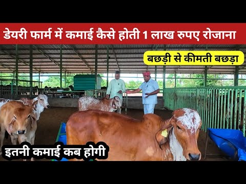 डेयरी फार्म कैसे शुरू करें। फार्म से कमाई कैसे होगी।@FarmingGuruji