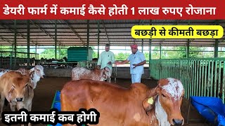 डेयरी फार्म कैसे शुरू करें। फार्म से कमाई कैसे होगी।@FarmingGuruji