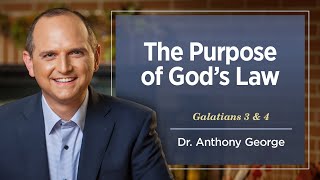 The Purpose of God’s Law - August 27, 2025
