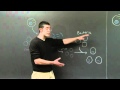Molecular Biology Techniques and Concepts