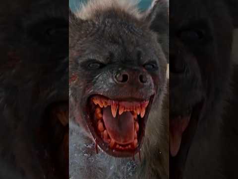Leo movie Amazing Secrets about the hyenas🔥 #lcu #leo