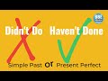 Understanding 'Did' vs 'Have' Usage