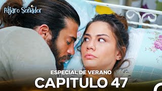 Pájaro Soñador Episodio 47 (Especial De Verano)