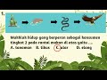 Ecosystem Roles and Food Chains