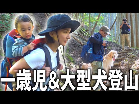 1歳児背負って3年ぶりに登山したらヤバ過ぎたww