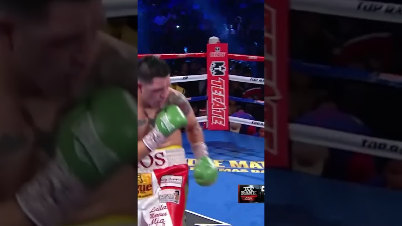 Epic Final Round: Pacquiao's Punching Mastery