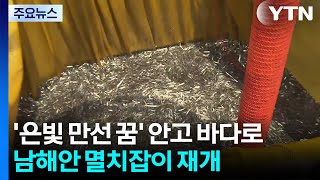 '은빛 만선 꿈' 안고 바다로...남해안 멸치잡이 다시 시작 / YTN