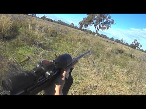 Aussie Outback pig hunt.