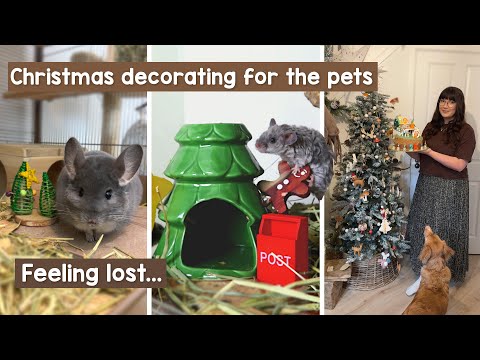 Christmas decorating for the pets & feeling lost | VLOG