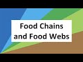 Ecosystem Roles and Food Chains