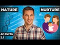 Psychology Concepts and Theories