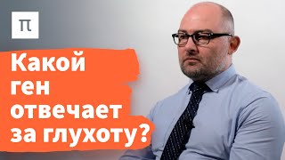 видео