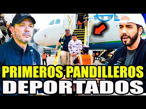 ENCADENADOS! BUKELE RECIBE A LOS PRIMEROS P4NDILLEROS DEPORTADOS DESDE ESTADOS UNIDOS