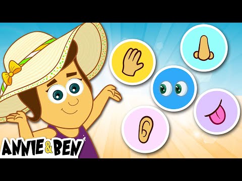 Learn 5 Senses Song | Baby Rhymes And Songs For Kids