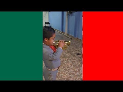 🚨HUMOR VIRAL MEXICANO #06🚨💯🇲🇽Si te ries pierdes 🤣😎😋🥳