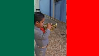 🚨HUMOR VIRAL MEXICANO #06🚨💯🇲🇽Si te ries pierdes 🤣😎😋🥳