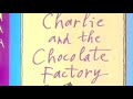 Willy Wonka's Factory Adventures