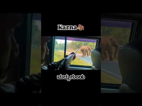 ಕರ್ಣನಿಗೆ ಡಾಟ್ ಮಾಡಿದ ರಮೇಶ್ ಡಾಕ್ಟರ್🔥#viralshort #bhima #wildlife #abhimanyu
