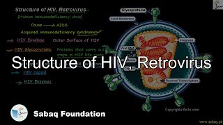 Structure of HIV, Retrovirus