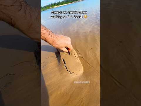 What’s in the sand? 😳