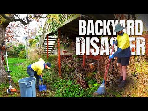 This is What Happens When You IGNORE Your Yard For YEARS!