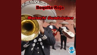 Vamos Brindando