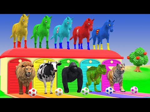 Long Slide Game With Cow Elephant Gorilla Hippopotamus Tiger 3d Animal Game Funny 3d Animals